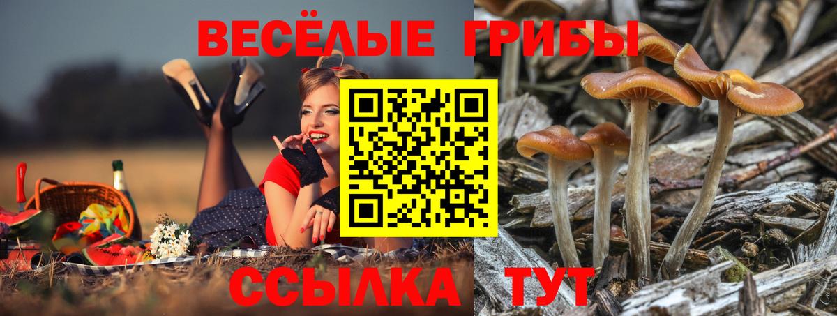 Казань  Галлюциногенные грибы Magic Shrooms  Вход с VPN 